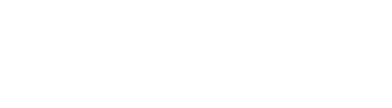 AmeraLabs logo