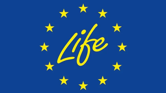 Life Fit for REACH