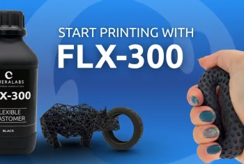 FLX-300 printing guide cover image